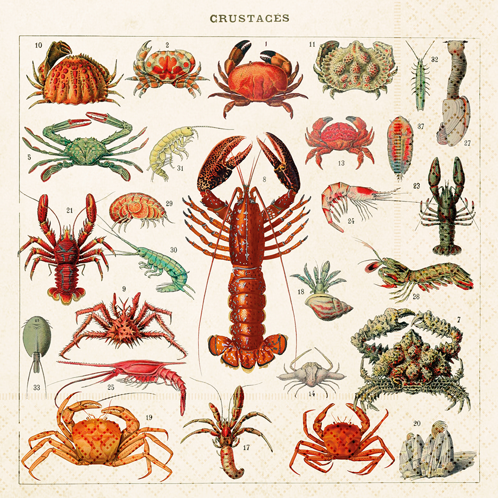 Servetter, 33x33 cm, 3-lags, FSC-märkta, 20-pack.